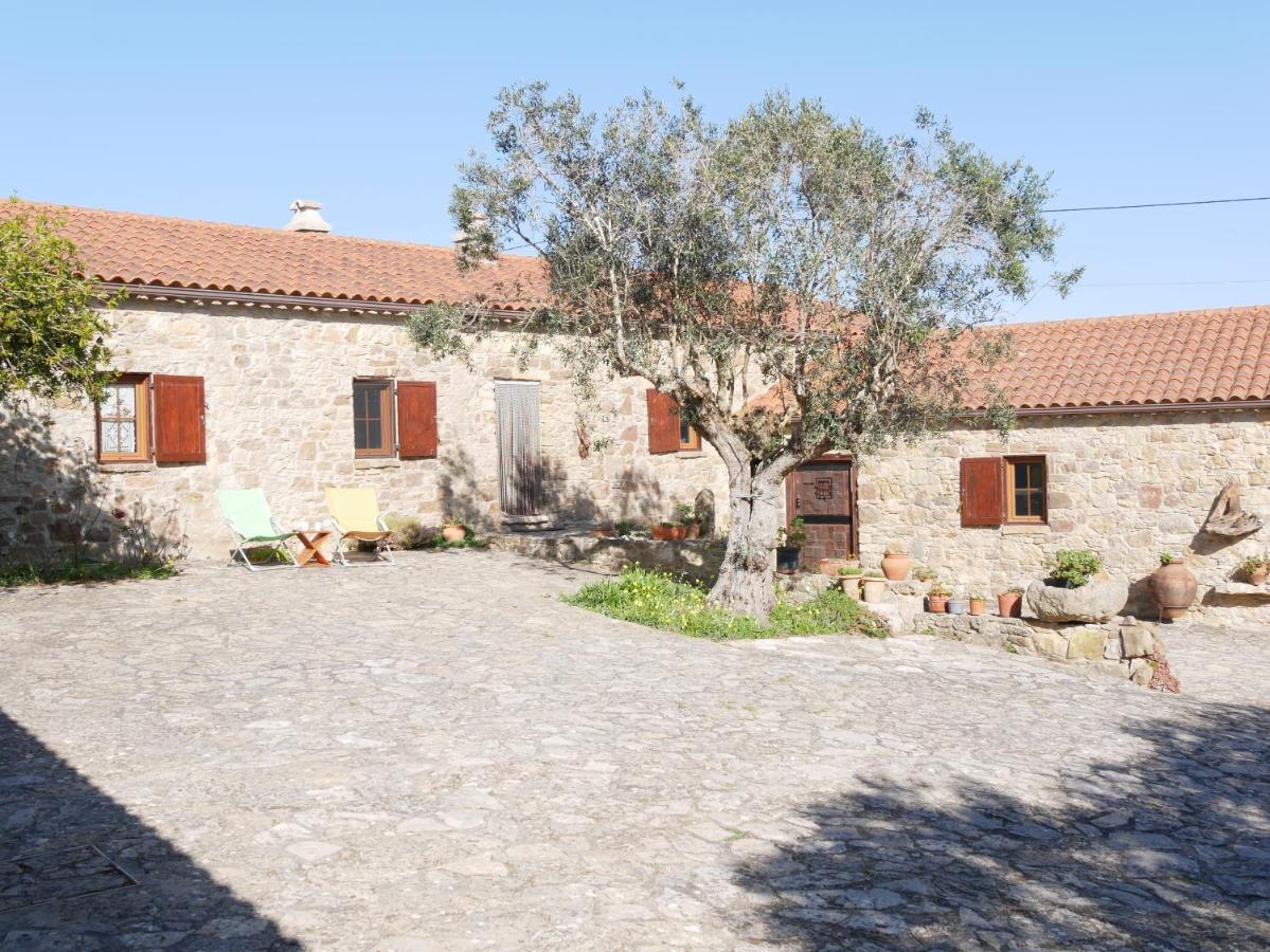 Pines Of Salgado Beachview Villa By Book Yourholiday Pt Nazaré Exteriör bild