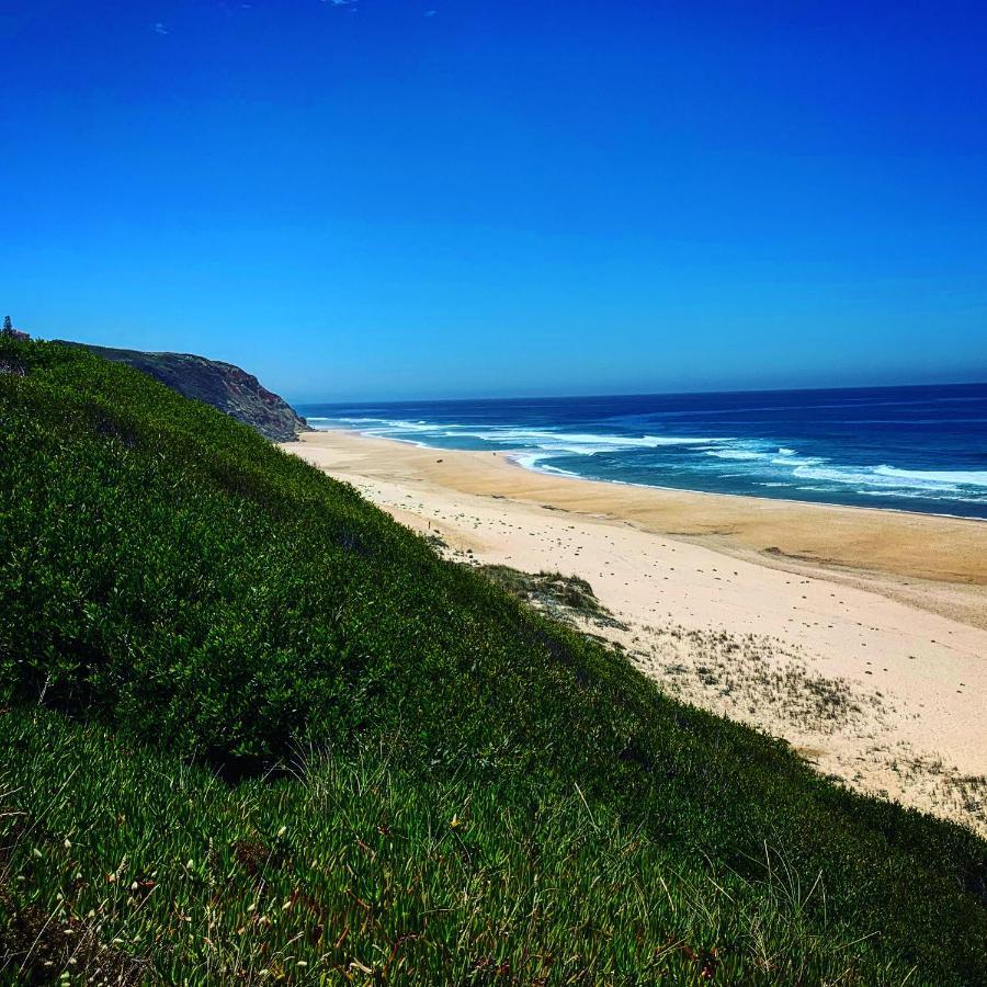 Pines Of Salgado Beachview Villa By Book Yourholiday Pt Nazaré Exteriör bild